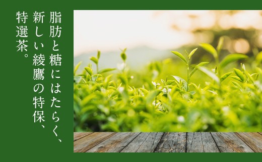  綾鷹　特選茶　500mlPET　1ケース