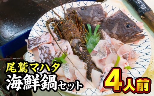 Uo 15 幻の魚 尾鷲マハタ 海鮮鍋セット 三重県尾鷲市 ふるさと納税 ふるさとチョイス