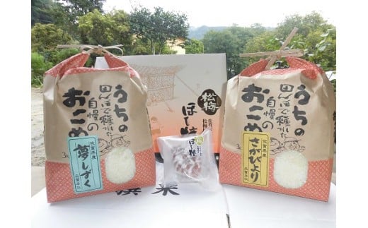 佐賀 松梅産のお米と冷凍干し柿のセット