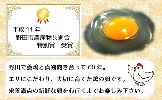 毎月定期便3回 おかだやの美健卵 卵30個 3回 千葉県野田市 ふるさと納税 ふるさとチョイス