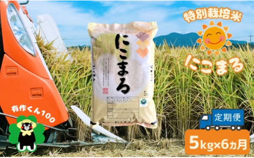 AI5 特別栽培米 「にこまる」（5kg×6ヶ月定期）熊本玉名産
