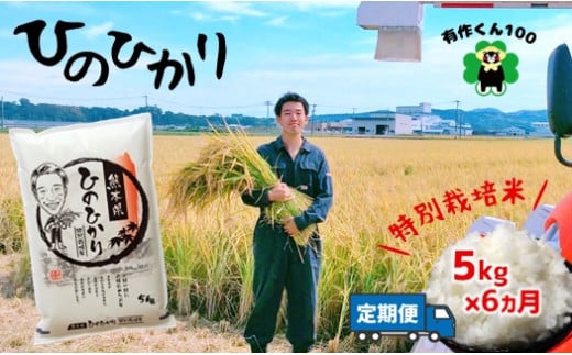 特別栽培米 「 ひのひかり 」 ( 5kg × 6ヶ月 定期 ) 熊本玉名産 | 米 こめ お米 おこめ 白米 精米 栽培 熊本県 玉名市 定期便