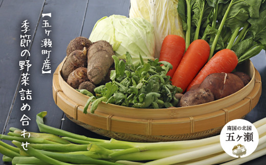 ※　写真はイメージです。旬の野菜をお届けいたしますので、野菜の種類、品数は月によって変わります。