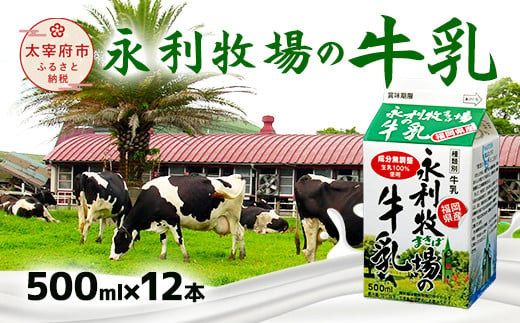 永利牧場の牛乳 500ml×12本セット 239131 - 福岡県太宰府市