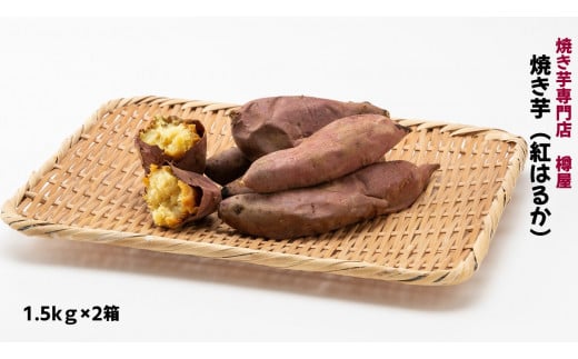 茨城県産 焼き芋紅はるか 1.5kg×2箱(計3kg) さつまいも 焼きいも 303109 - 茨城県鉾田市