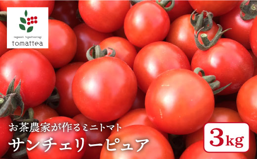 食卓をもっと楽しく ミニトマト サンチェリーピュア 3kg Tomattea Bar002 長崎県東彼杵町 ふるさと納税 ふるさとチョイス