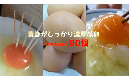 U-3 黄身がしっかり濃厚な卵【アスタの恵み】90個 239279 - 茨城県行方市