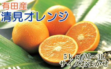 [手選別]有田産清見オレンジ約5kg(サイズおまかせ・秀品)★2023年2月中旬より順次発送