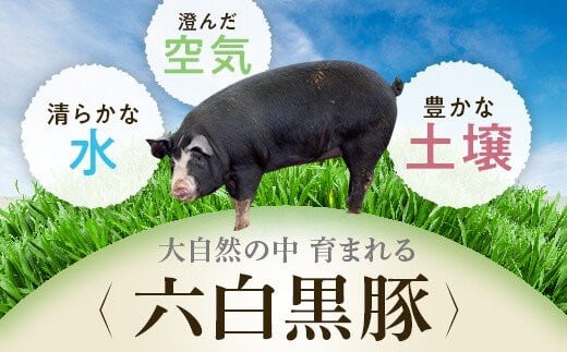 鹿児島県肝付町のふるさと納税 B02081 特選黒豚しゃぶしゃぶセット(合計約2kg)黒豚バラ・肩ロース(しゃぶしゃぶ用)、こだわりポン酢1本付き 鹿児島 国産 九州産 黒豚 豚肉 お肉 バラ 肩ロース スライス しゃぶしゃぶ【和田養豚】