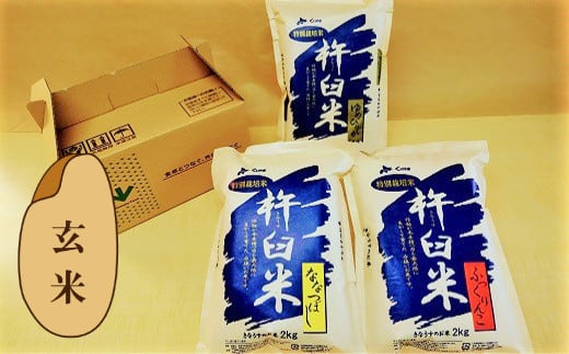 特別栽培「きなうす米」セット（玄米）2kg×3品種　C007 261214 - 北海道栗山町