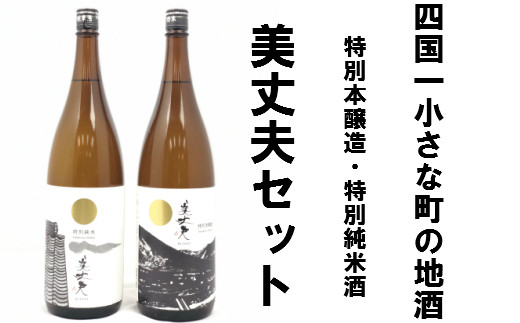 四国一小さな町の地酒 美丈夫セット 一升瓶２本 高知県田野町 ふるさと納税 ふるさとチョイス