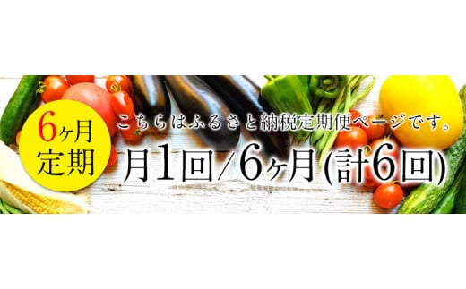 定期便 月1回 6ヶ月 計6回コース 旬の新鮮野菜たっぷり16品セット お申込み月の翌月から出荷開始 御船町産を中心とした旬の野菜セット 冷蔵 詰め合わせ 季節の野菜 安心 安全の野菜セット 熊本県御船町 ふるさと納税 ふるさとチョイス