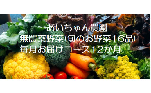 12品 24回定期便 あいちゃん農園の イタリア野菜 セット ラージ Faa023 佐賀県吉野ヶ里町 ふるさと納税 ふるさとチョイス