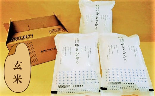 【玄米12ヶ月定期便】特別栽培米ゆきひかり2kg×3袋　Q006