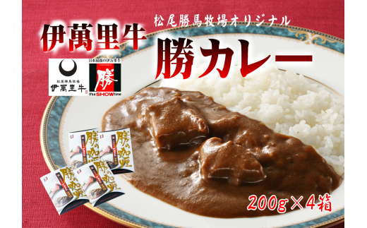 希少部位使用 佐賀牛カレー4個セット：B016-043 - 佐賀県佐賀市