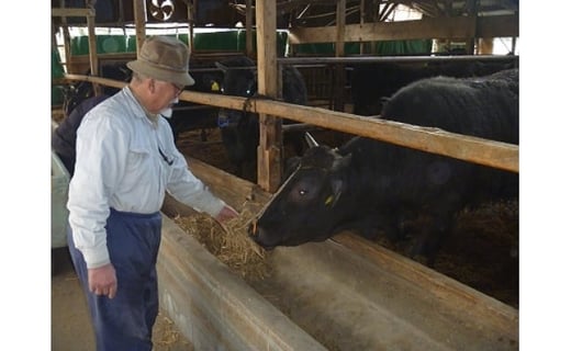 オリーブ牛 焼肉二種食べ比べセットa 香川県三豊市 ふるさと納税 ふるさとチョイス