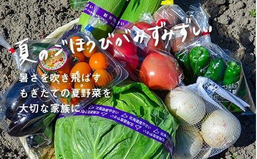 大地の恵み 「新鮮！夏野菜セット」　B035 261202 - 北海道栗山町