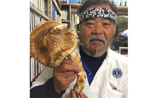 アドベンチャー体験(BBQ付)マツタケざんまいコース＜9月～10月＞【1087677】