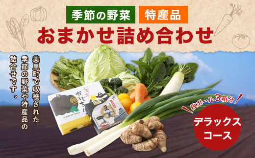 【デラックスコース】美里町産 季節の野菜 特産品 おまかせ詰め合わせ