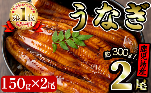 【10625】鹿児島県産！地下天然水で育てたうなぎ300g(150g×2尾タレ・山椒付き)1尾ずつ真空パックで！【財宝】のサムネイル