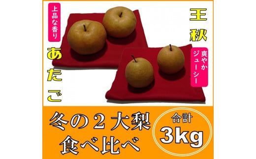 0407 「王秋」と「あたご」の食べ比べセット 3キロ(五本松まえ柴) 478454 - 鳥取県鳥取市