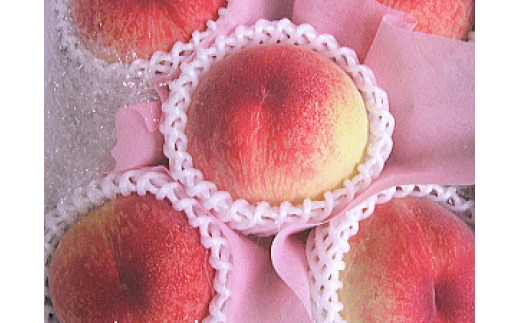 季節のフルーツ「さぬきの桃」 計約3.4kg[令和6年6〜7月発送]