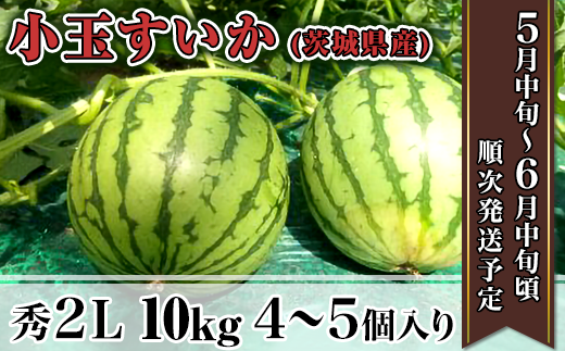 12 4茨城県産小玉すいか 秀2l 10kg 4 5個 茨城県下妻市 ふるさと納税 ふるさとチョイス