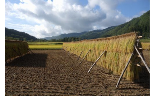 E 2 仙人米 自然乾燥米 はさがけ 白米 5kg 秋田県東成瀬村 ふるさと納税 ふるさとチョイス