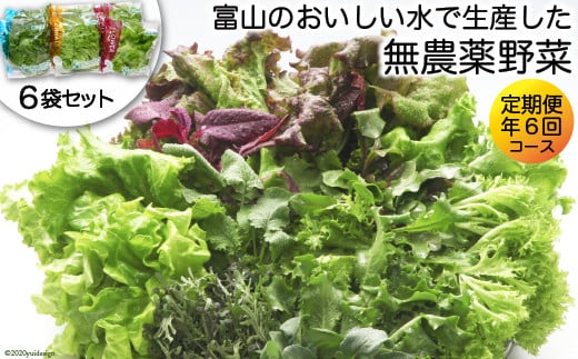 おすすめ 定期便 野菜のふるさと納税を探す ふるさとチョイス