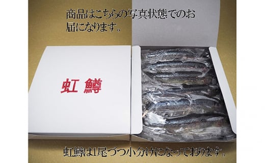 5762 0468 魚沼の虹ます ニジマス 冷凍12尾入 新潟県魚沼市 ふるさと納税 ふるさとチョイス