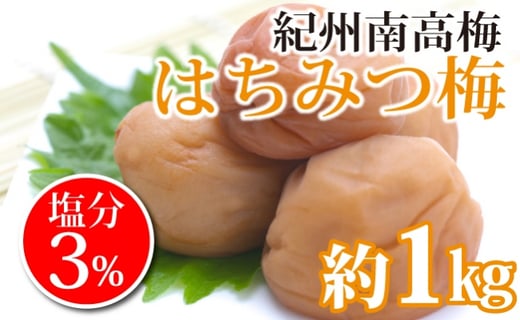 紀州南高梅 はちみつ梅 塩分3 １キロ 白浜グルメ市場 和歌山県白浜町 ふるさと納税 ふるさとチョイス