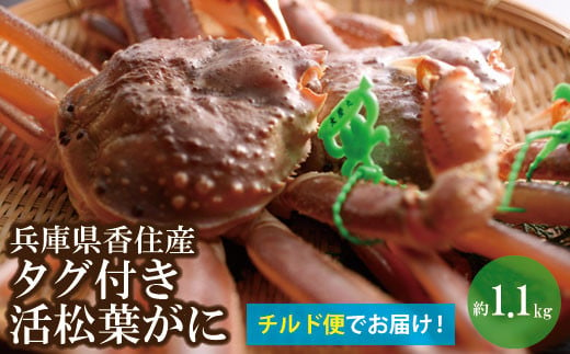 07-06 【数量限定】兵庫県香住産　タグ付き活松葉がに　約1.1kg【日本海フーズ(にしとも かに市場)】
