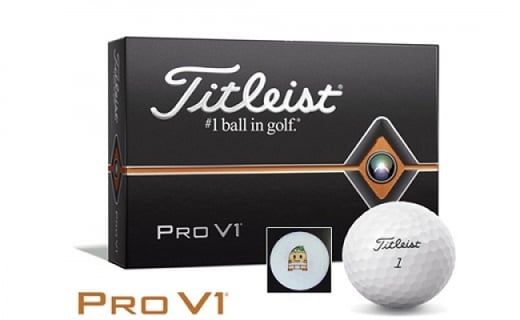 いなッピーオンネーム ゴルフボール タイトリストpro V1 2ダース ホワイト 愛知県稲沢市 ふるさと納税 ふるさとチョイス