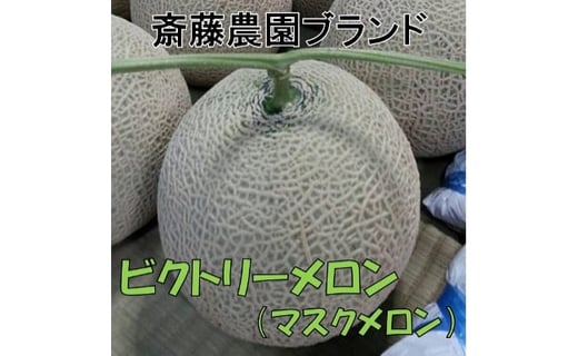 斎藤農園ブランド 2玉 ビクトリーメロン アールスメロン マスクメロン 2玉 3kg程度 先行予約22年7月以降発送分 和歌山県御坊市 ふるさと納税 ふるさとチョイス