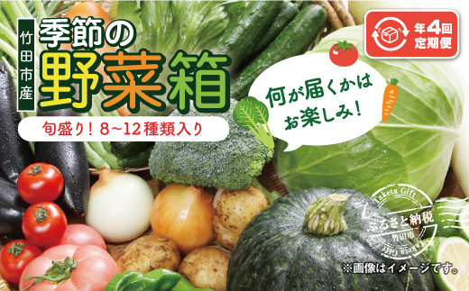 竹田市産！季節の『野菜箱』年4回 四季の定期便 1箱あたり:8~12種】