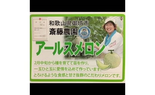 斎藤農園 4玉 アールスメロン マスクメロン 4玉 6kg程度 先行予約22年7月以降発送分 和歌山県御坊市 ふるさと納税 ふるさとチョイス