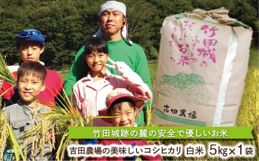 竹田城跡の麓 吉田農場の美味しいコシヒカリ（白米）５kg 241158 - 兵庫県朝来市