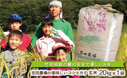 竹田城跡の麓 吉田農場の美味しいコシヒカリ（玄米）20kg 241163 - 兵庫県朝来市