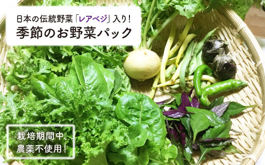 BAH001 【無農薬！】おいしい！季節のお野菜パック-1