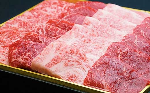 宮崎牛 霜降り&赤身 焼肉セット 700g 牛肉 モモ ウデ カルビ 