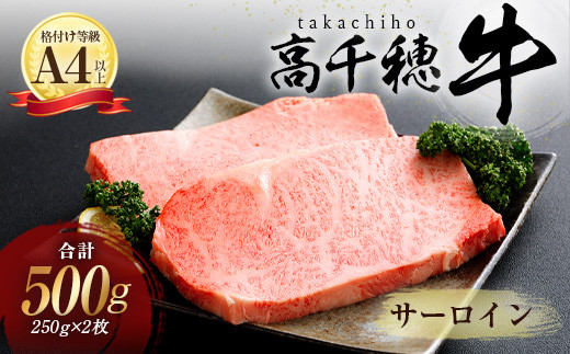 A-1 高千穂牛 サーロイン ステーキ 250g×2枚 500g