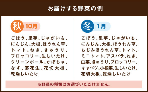 竹田市産！季節の『野菜箱』年4回 四季の定期便 1箱あたり:8~12種】