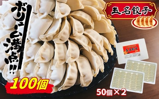旨味あふれ出る『玉名餃子』 100個（50個×2箱） 318335 - 熊本県玉名市