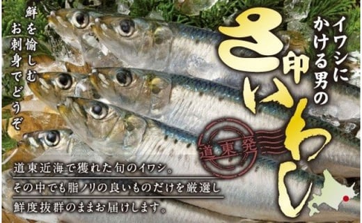 さ印さんりく いわし 2kg前後 北海道白糠町 ふるさと納税 ふるさとチョイス