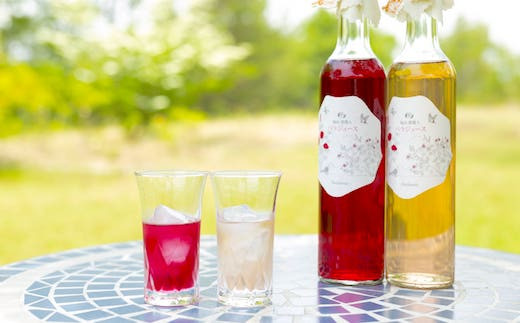 水を注ぐだけで美しい。赤とピンクの520mL×2本セット