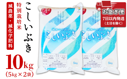 新潟県長岡産こしいぶき10kg(5kg×2袋)