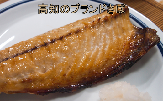 土佐の清水さば獲れたて干物2枚セット　【A-76】