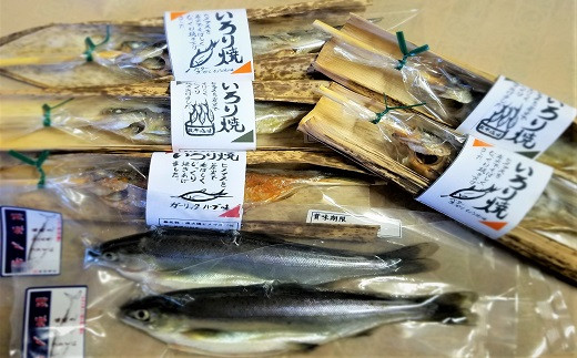 101 丸ごと食べれる高級魚ヒメマスのいろり焼きセット 北海道古平町 ふるさと納税 ふるさとチョイス