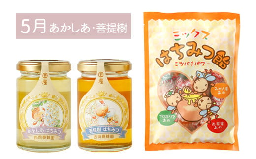 【定期便 年6回 奇数月】蜂蜜165g×12種類が味わえる+蜂蜜あめ袋