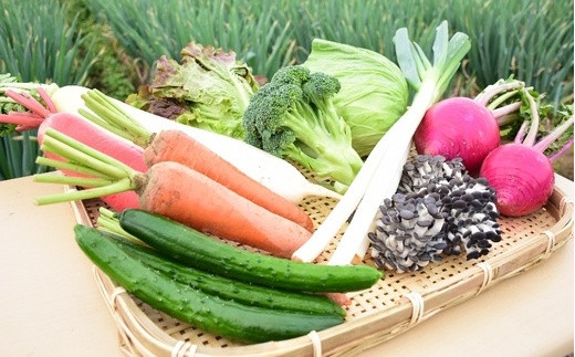 旬のラッキー７野菜セット（野菜７種詰合せ）　【11218-0114】